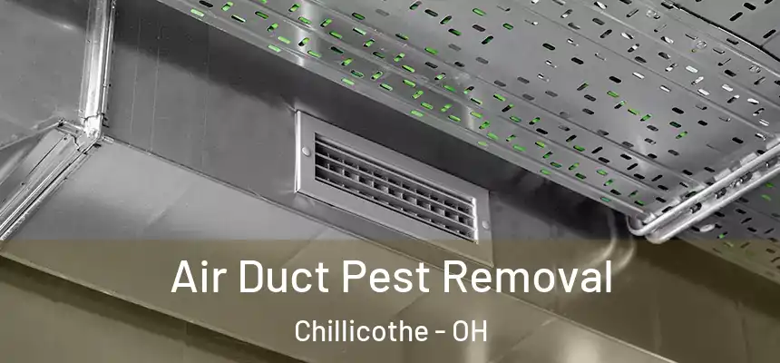 Air Duct Pest Removal Chillicothe - OH