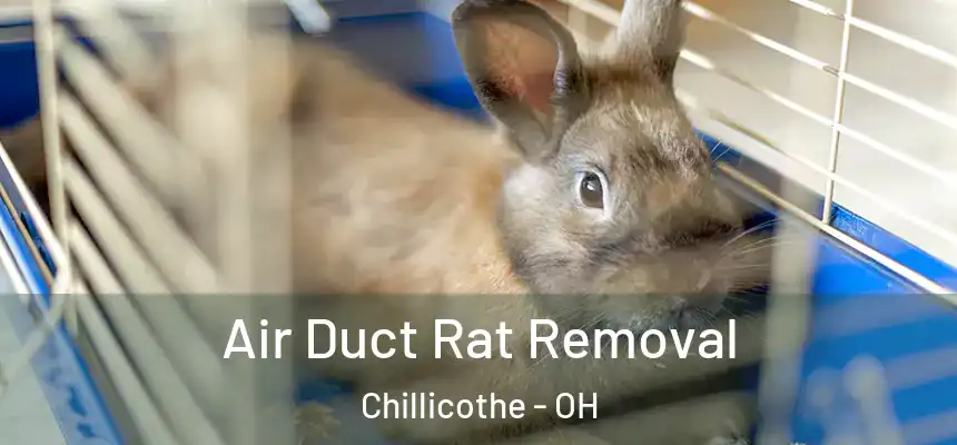  Air Duct Rat Removal Chillicothe - OH