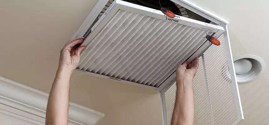 Preventive Cockroach-Proofing for Ducts in Chillicothe