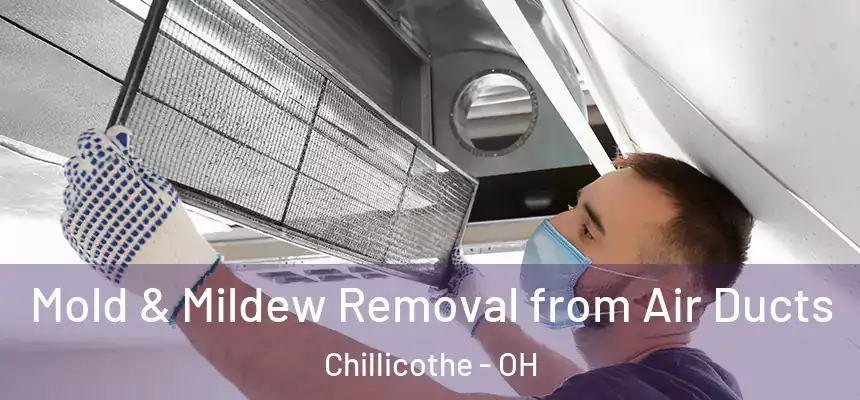Mold & Mildew Removal from Air Ducts Chillicothe - OH