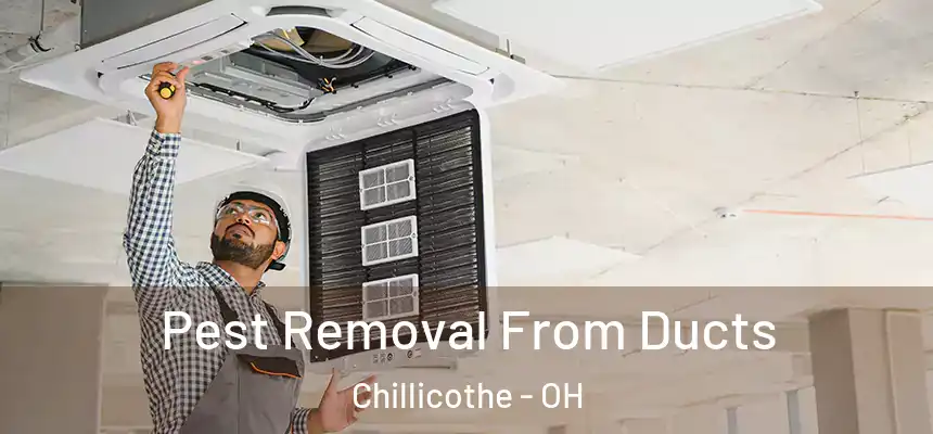  Pest Removal From Ducts Chillicothe - OH