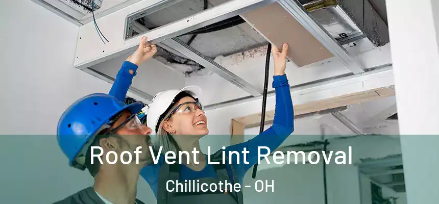 Roof Vent Lint Removal Chillicothe - OH