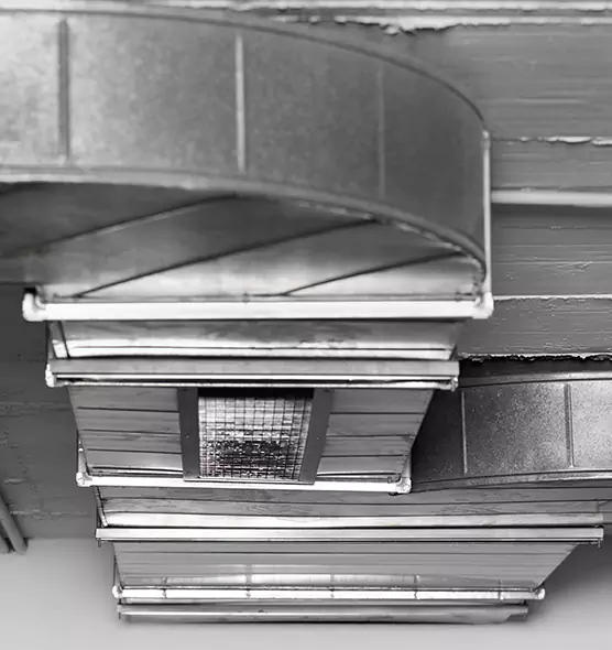 Professional Air Duct Pet Hair Removal in Chillicothe, OH