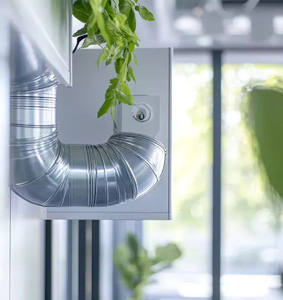 Professional Eco-Safe Dryer Vent Cleaning in Chillicothe, OH