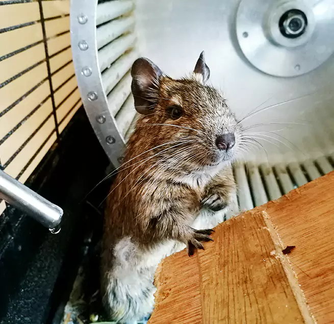 Why Homeowners & Businesses Trust Us Chillicothe, OH?